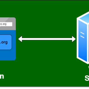 Domain, Hosting & Site Renewal